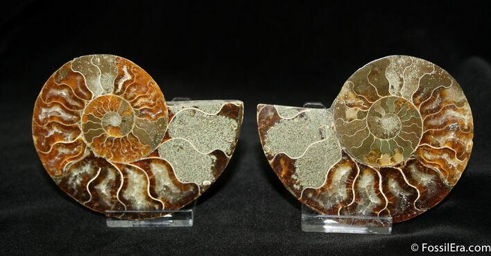 Inch Polished Pair From Madagascar #1066